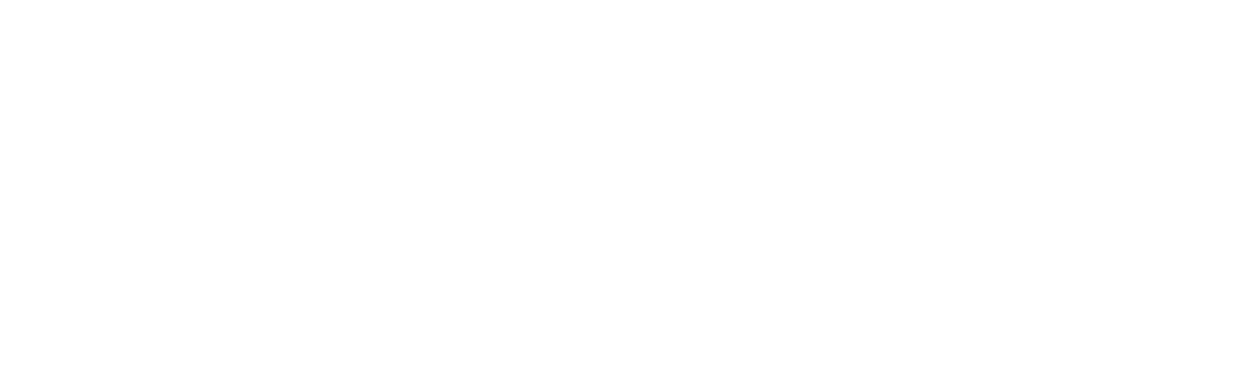 Black Brazil Unspoken