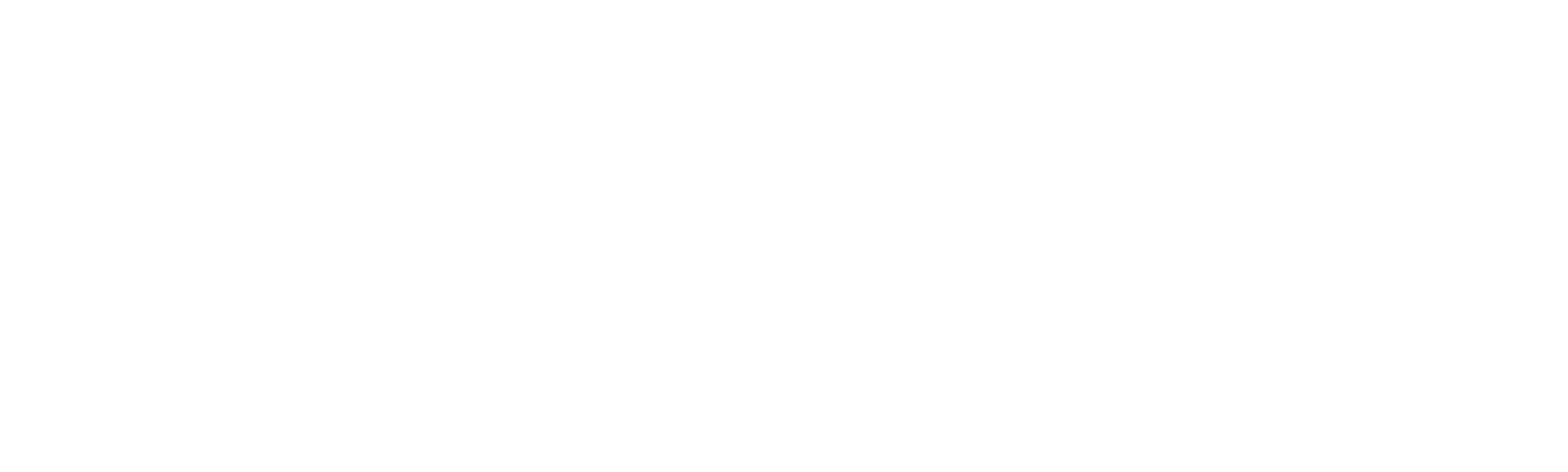 The Quiet Girl - A Menina Silenciosa