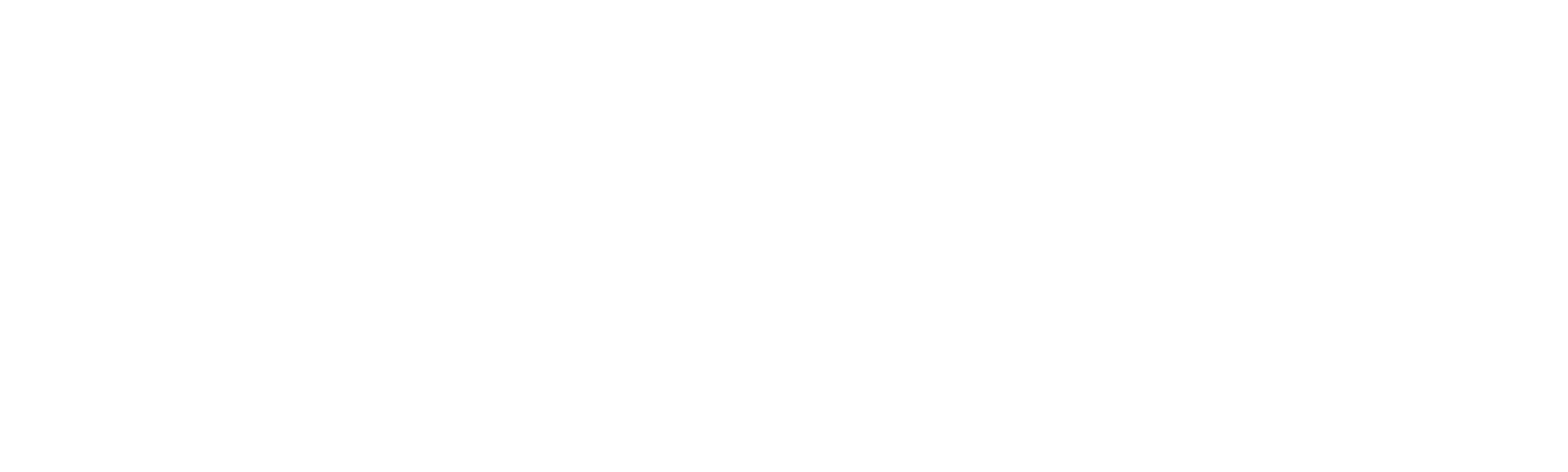 The Girl Before