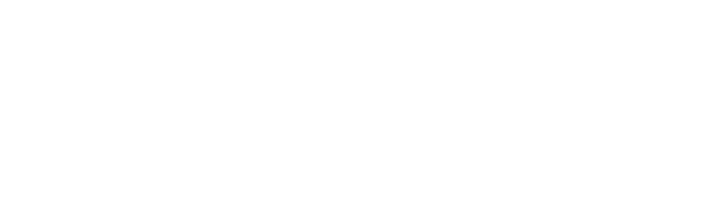 The Cleaning Lady