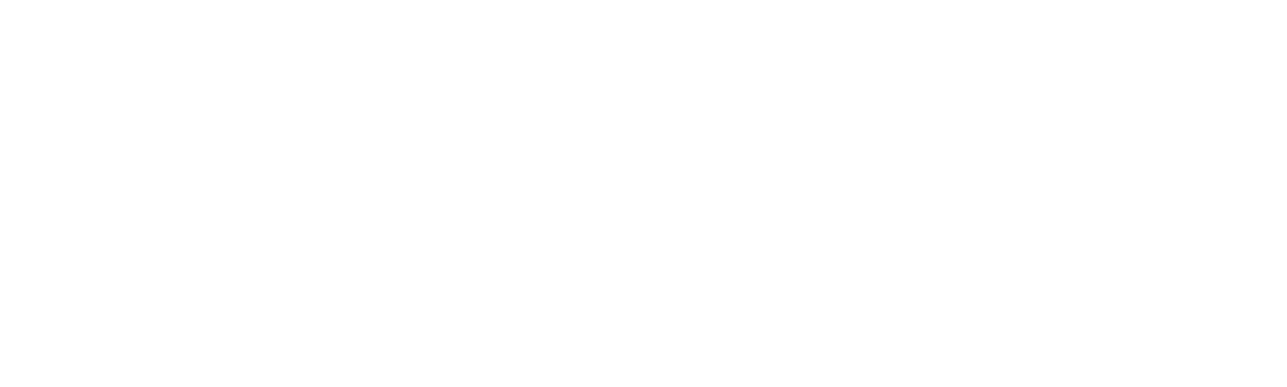 The Cleaning Lady