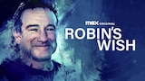 Robin's Wish