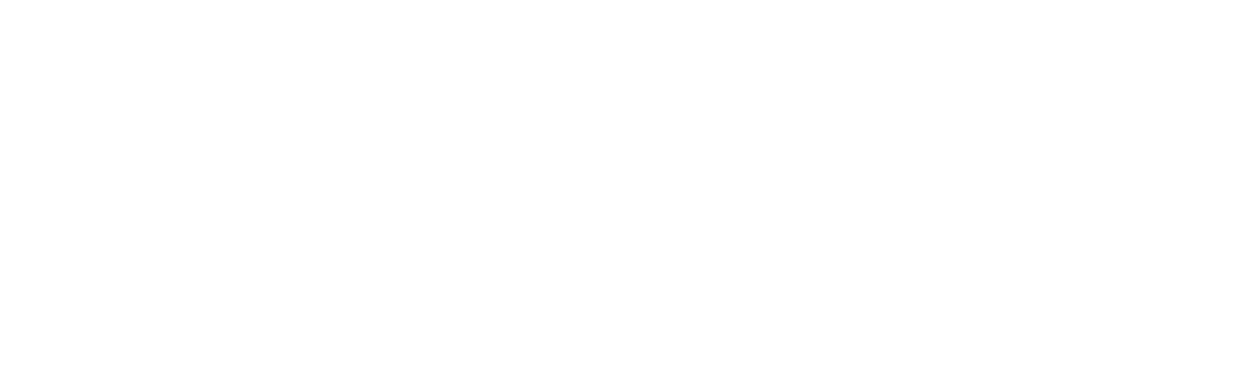 Fatal Flight: Shoreham