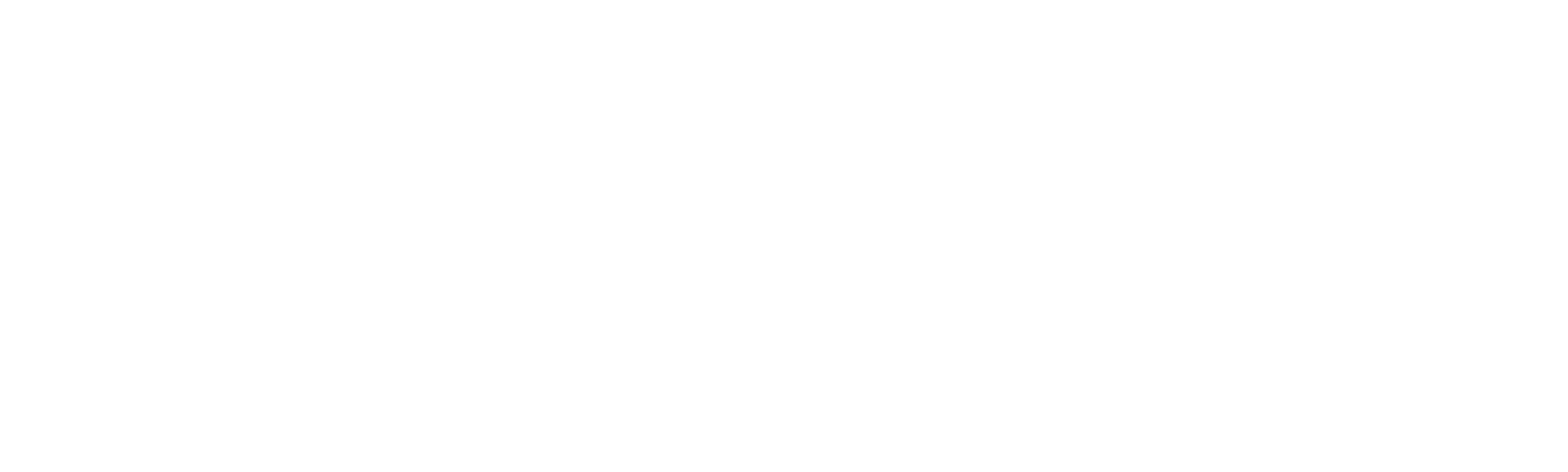 愛莉克絲挑戰全美