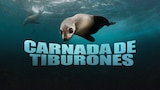 Carnada de tiburones