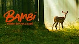 Bambi: Příběh života z lesů
