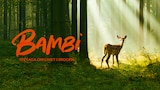 Bambi - En saga om livet i skogen