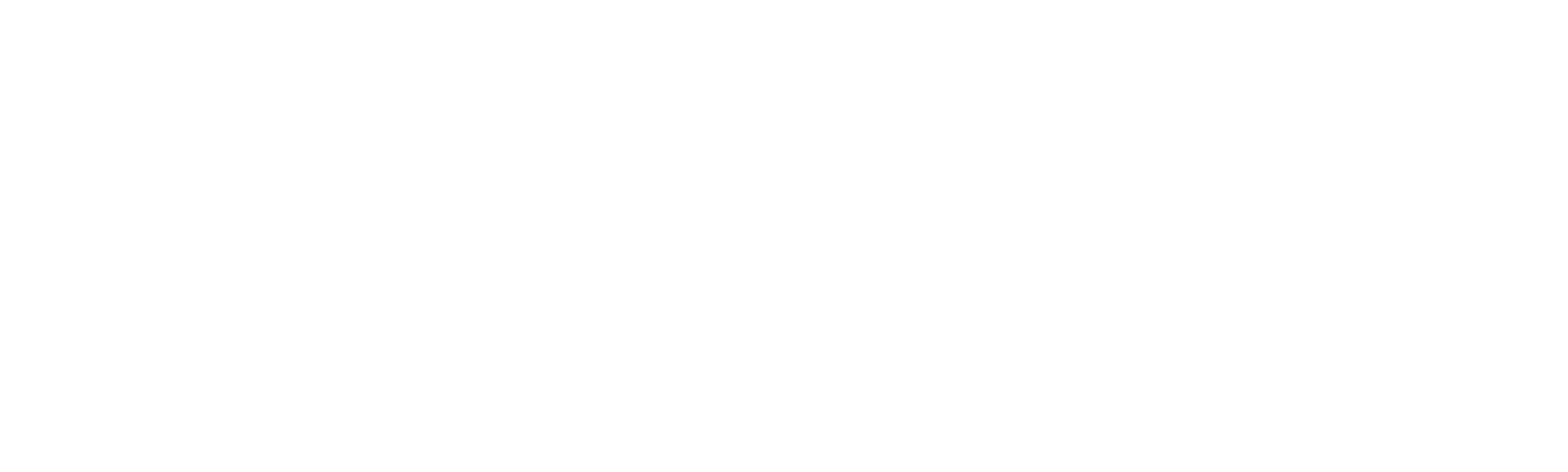 The Meddler