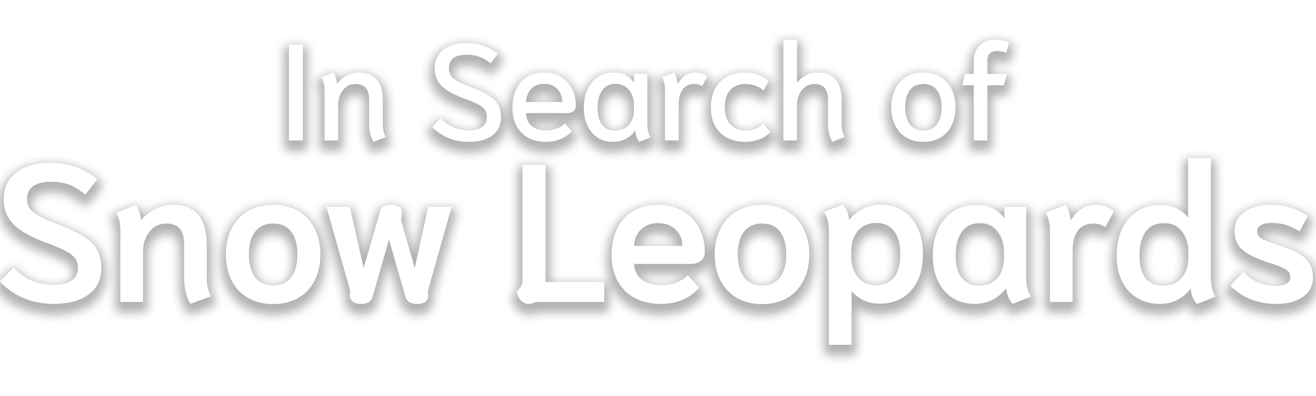 In Search Of Snow Leopards