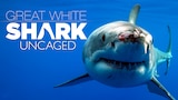 Great White Shark: Uncaged