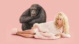 Monkey Love
