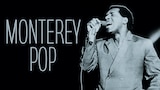 Monterey Pop