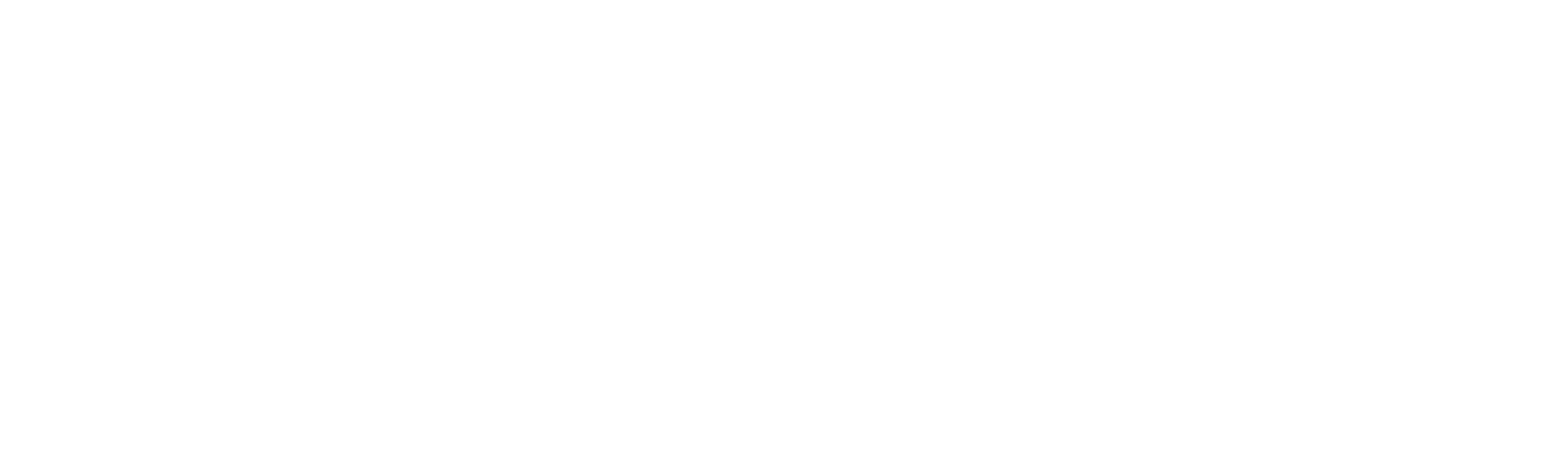 Branson: Aventuras de um Bilionário