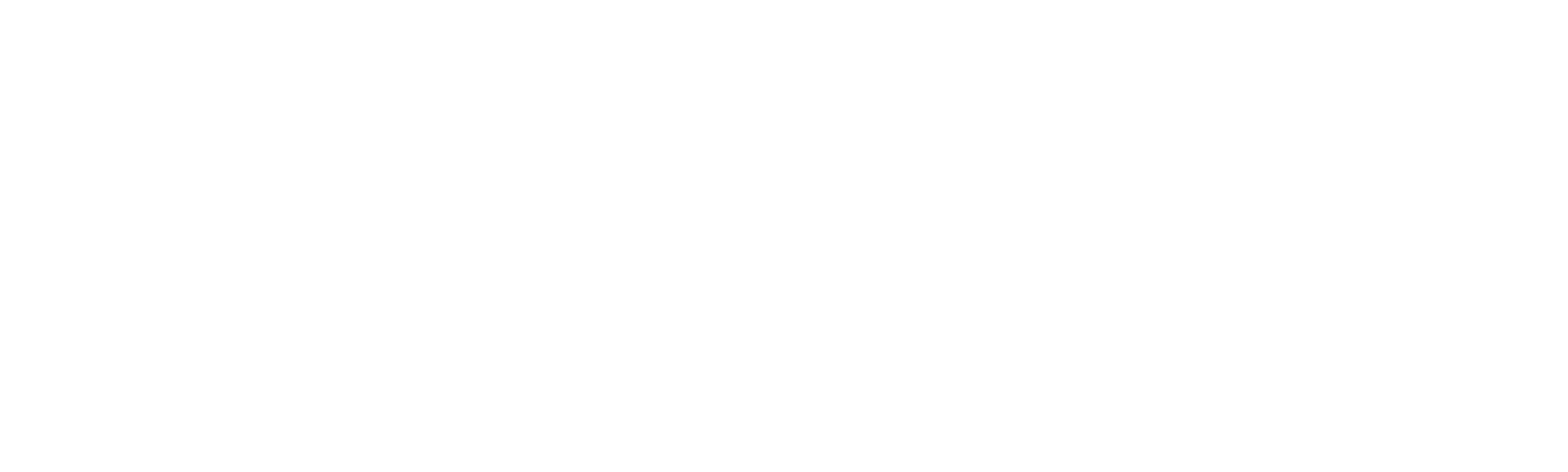 The Vanilla Ice Project