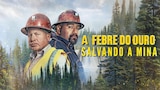 A Febre do Ouro: Salvando a Mina