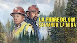La fiebre del oro: salvando la mina