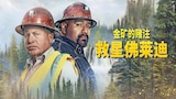 金矿的赌注:救星佛莱迪