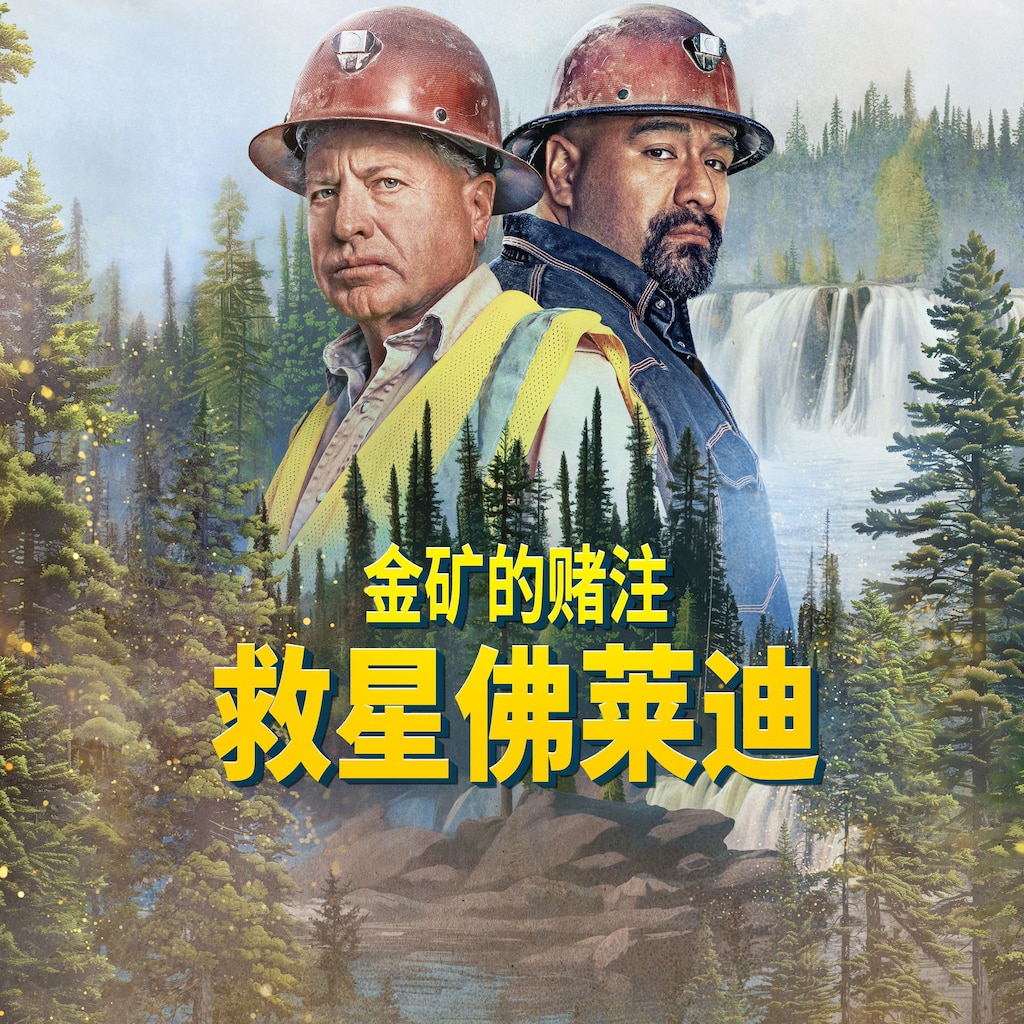 金矿的赌注:救星佛莱迪