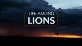 Life Among Lions
