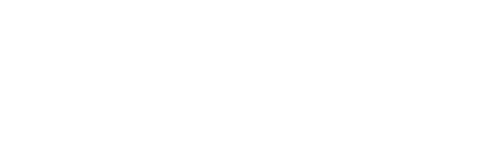 与狮群相伴