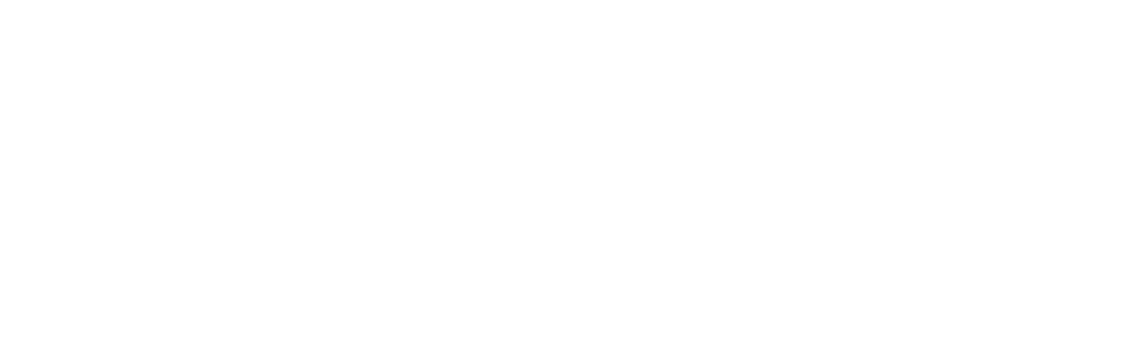 與獅群相伴