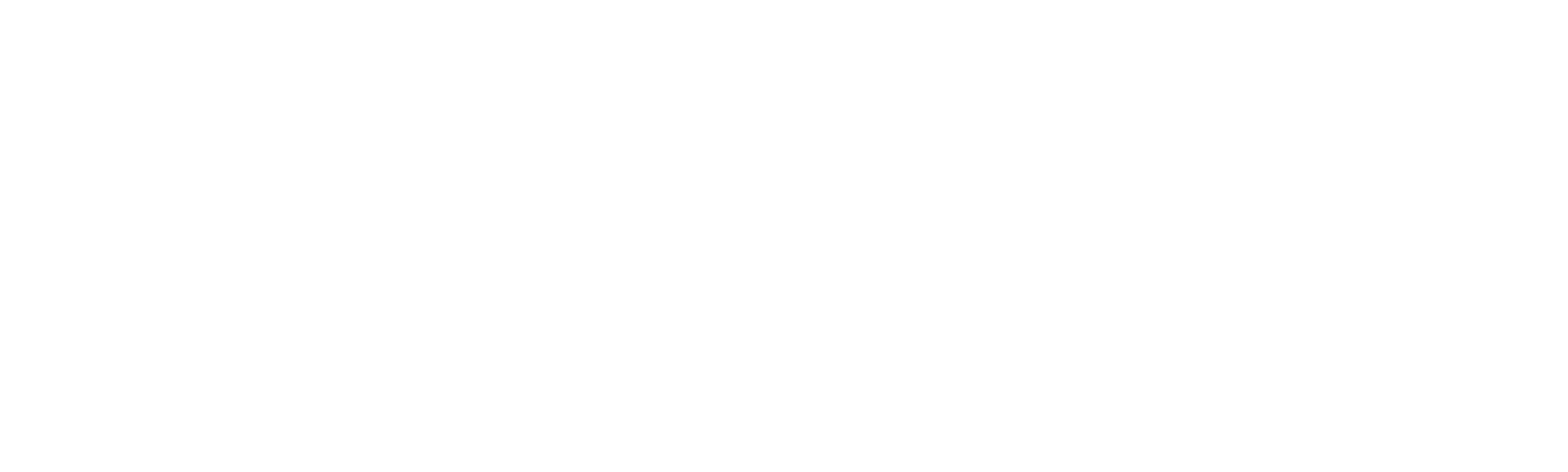 The New World