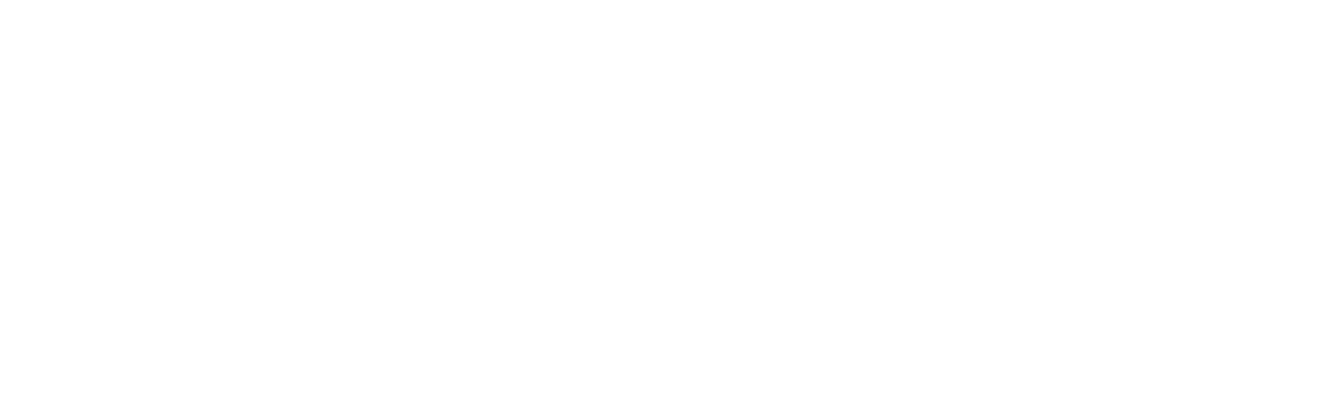 Paris La Vie Sportive