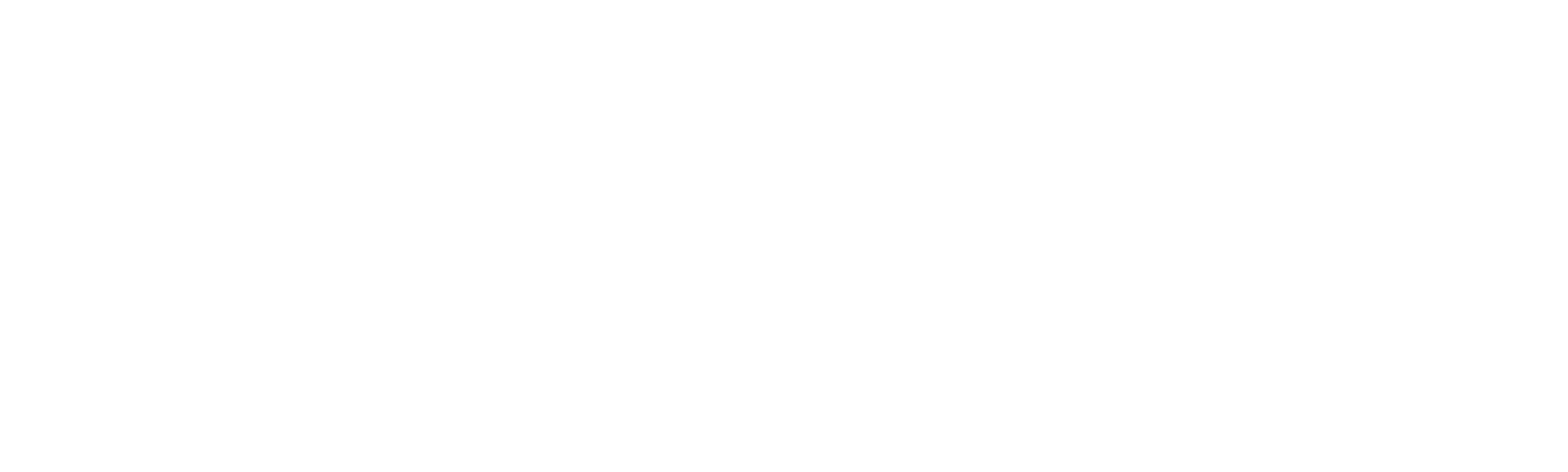 Lucas the Spider