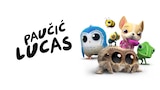 Paučić Lucas