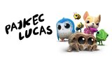 Pajkec Lucas