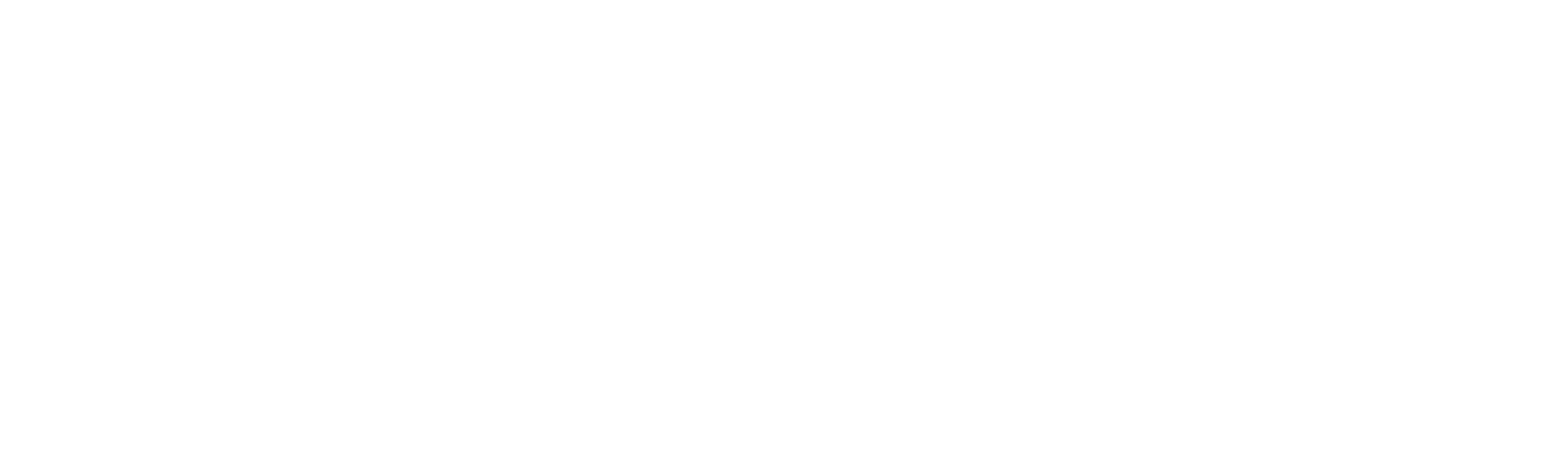 Lucas the Spider