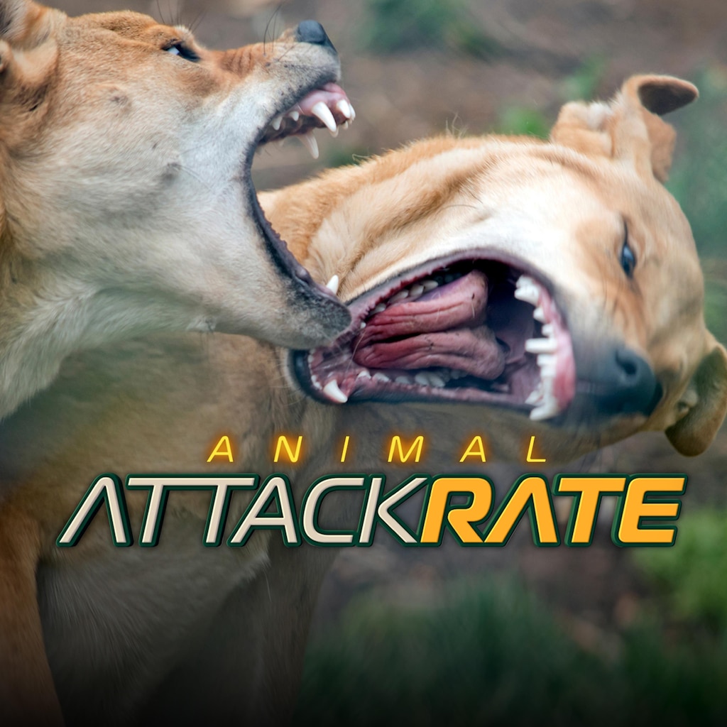 Animal Attack Rate