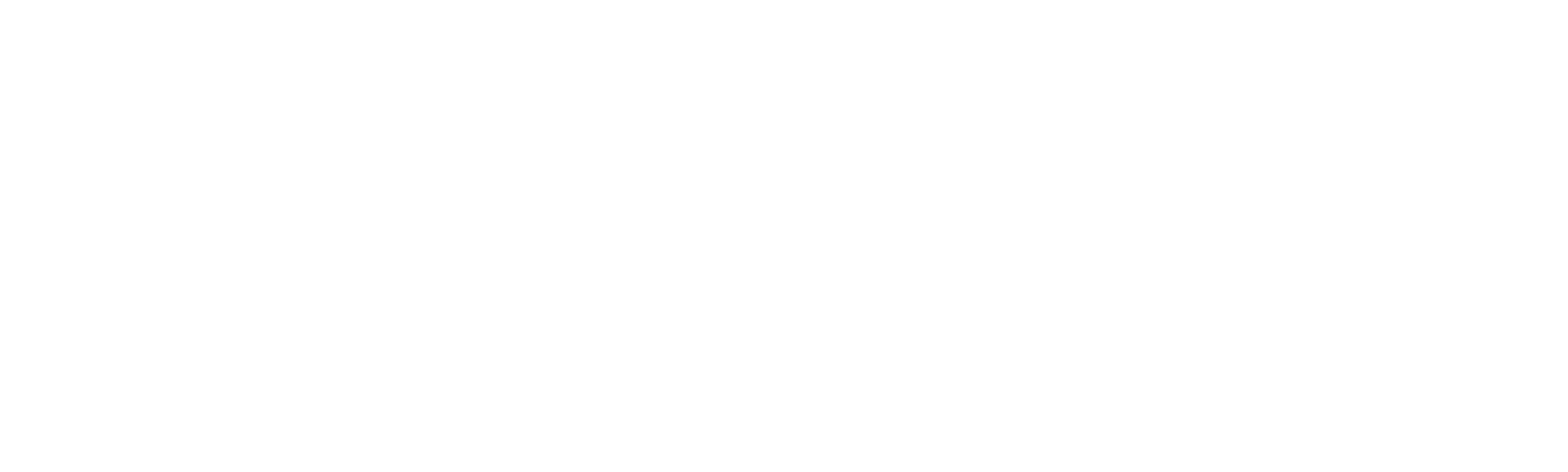 Steven Universe: Budućnost