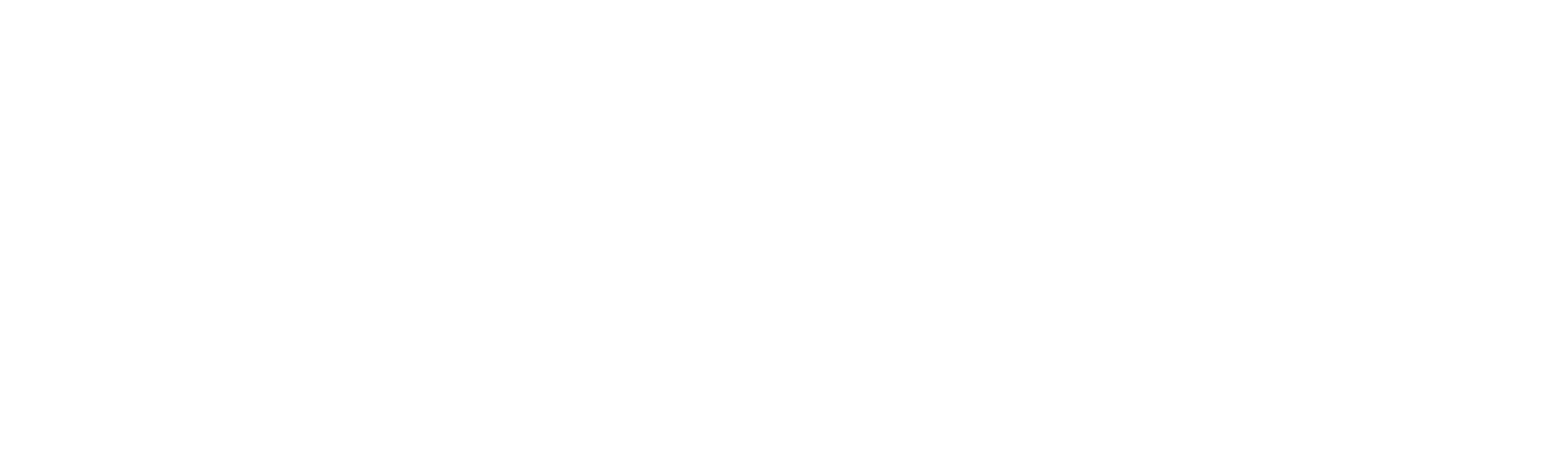 Stiven Univers: Budućnost