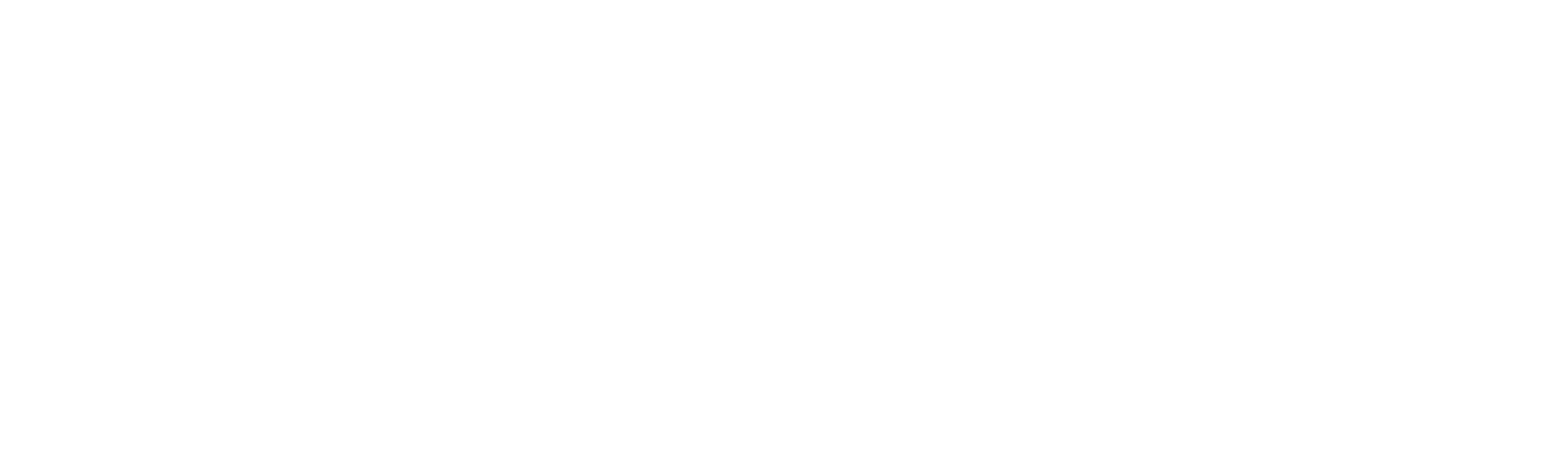 Steven Universe: Toekomst