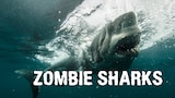 Zombie Sharks