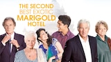 The Second Best Exotic Marigold Hotel