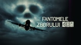 Fantomele zborului 401