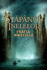 Stăpânul inelelor: Frăția inelului