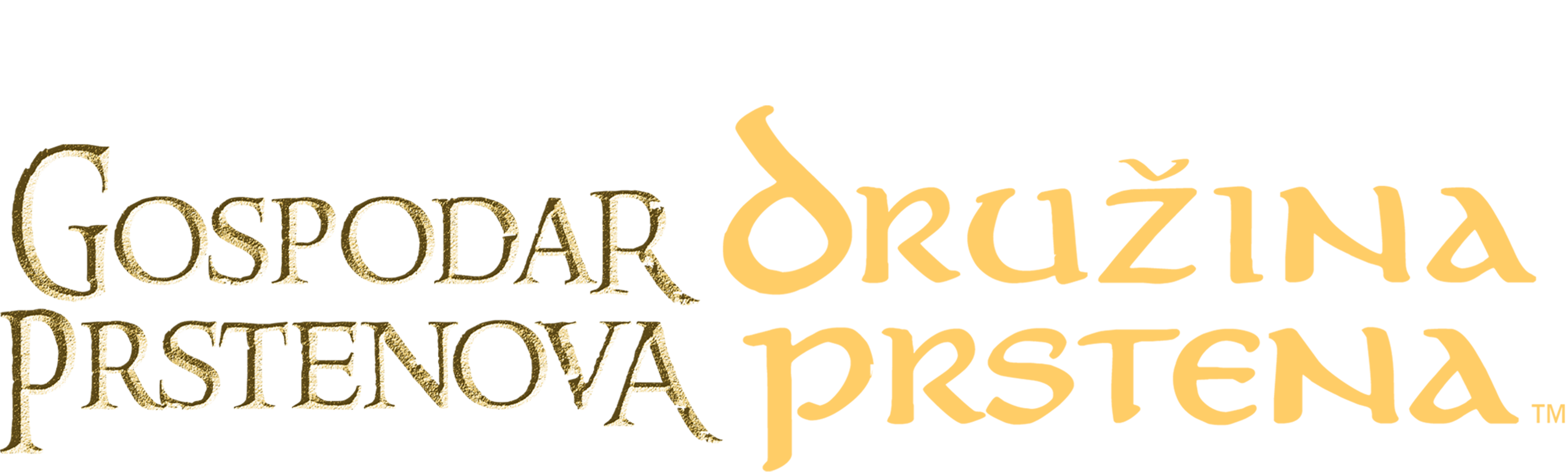 Gospodar prstenova: Družina prstena