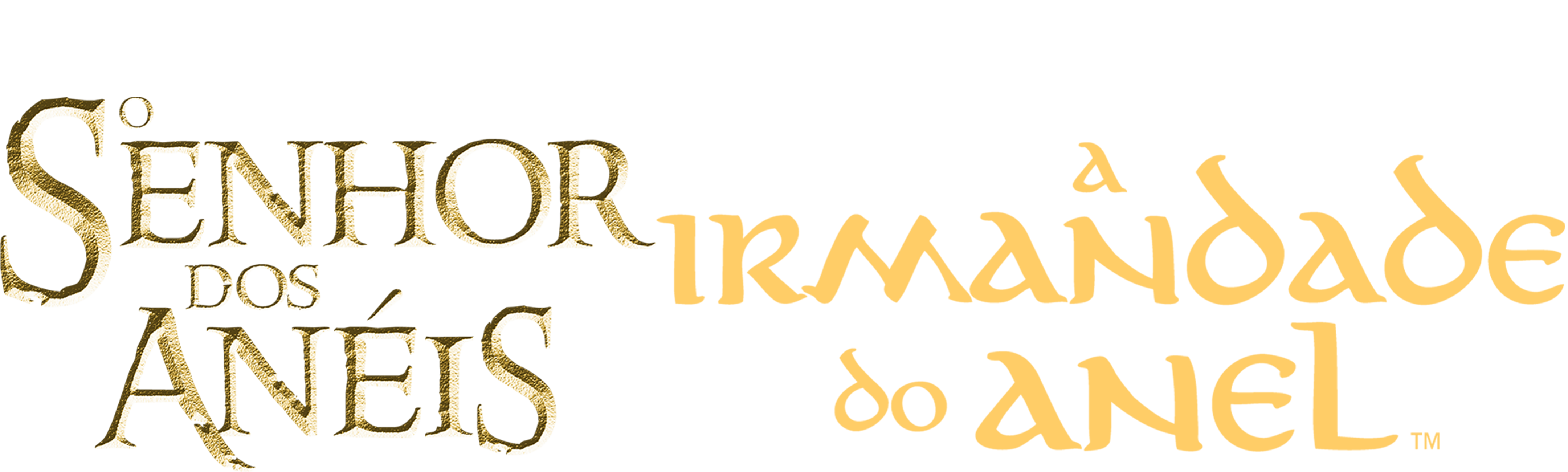 O Senhor dos Anéis - A Irmandade do Anel