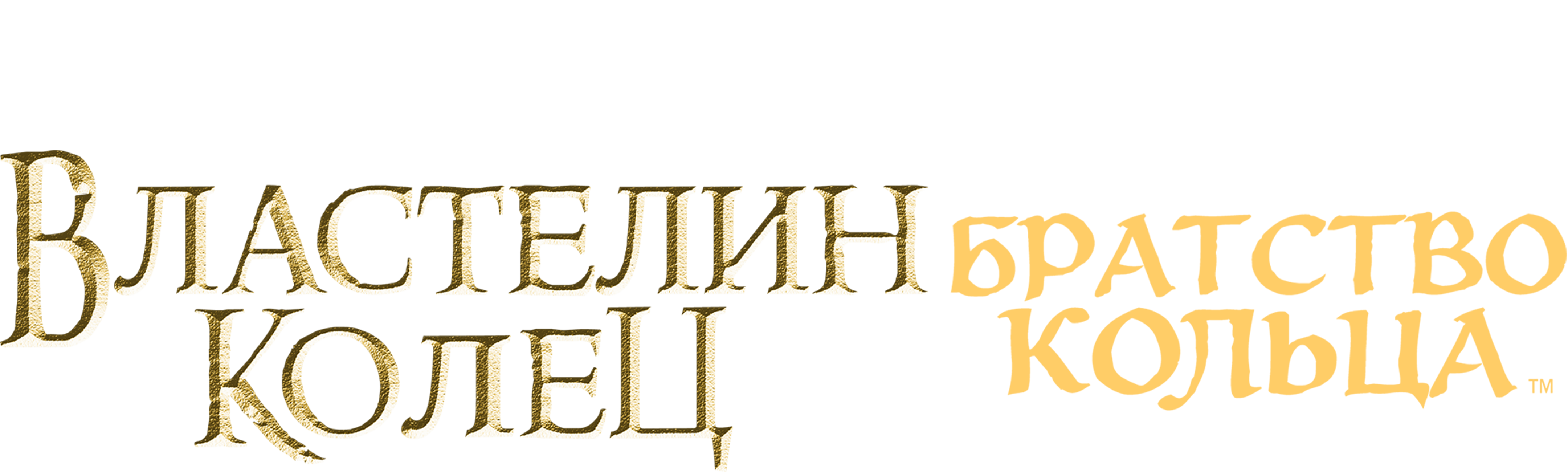 Властелин колец: Братство кольца