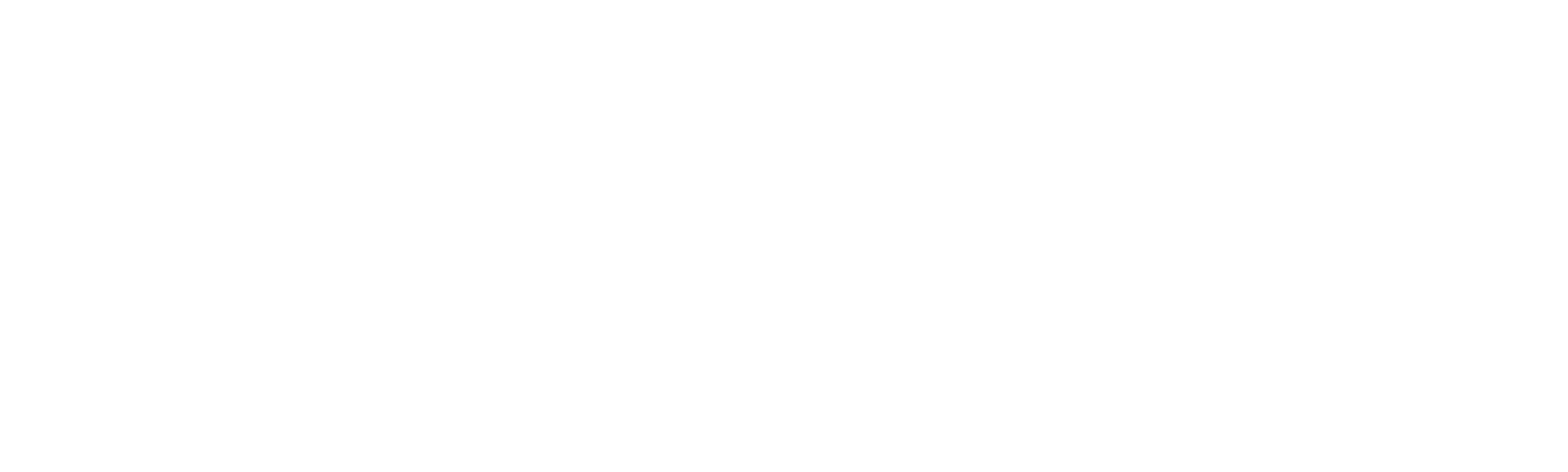Before Mickey Mouse: A History of American Animation
