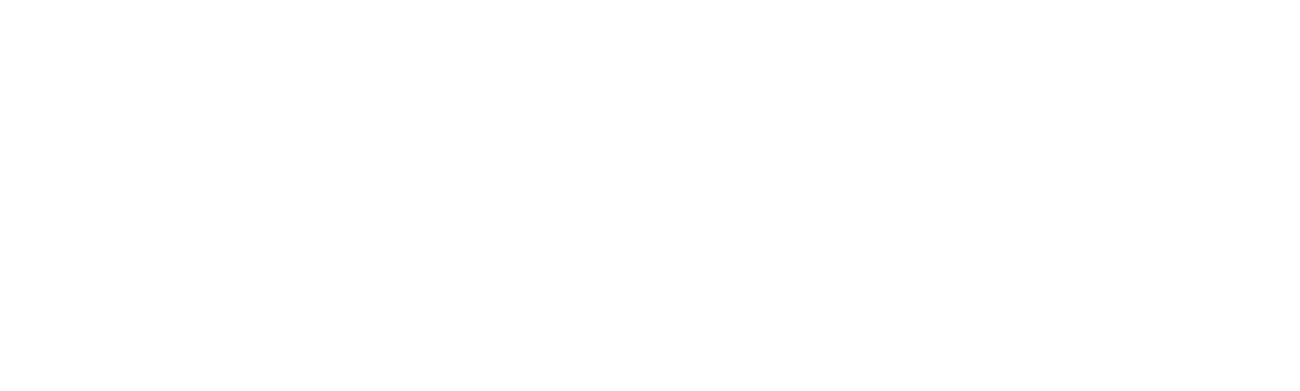 Velocity Dispatch