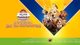 Puppy Bowl presenta: Locura de cachorros
