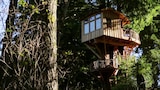 Sky-High Redwood Retreat