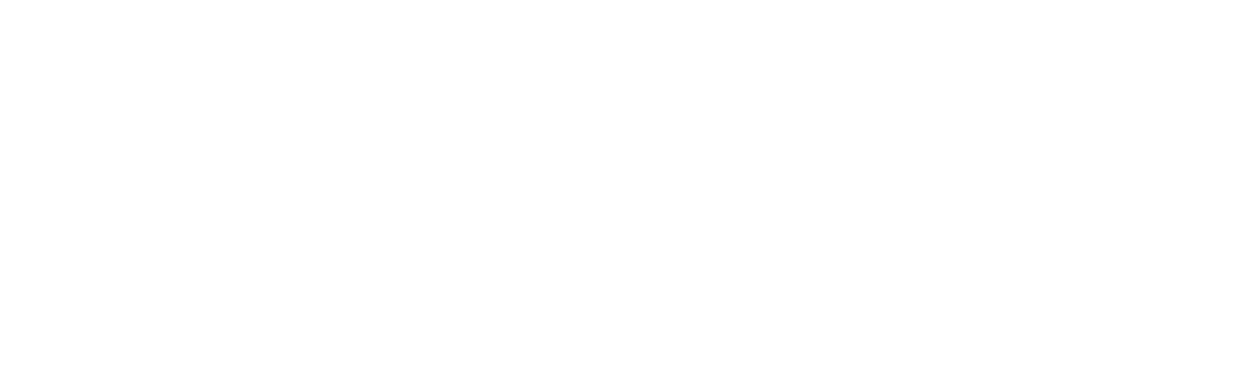 The Monk and the Gun