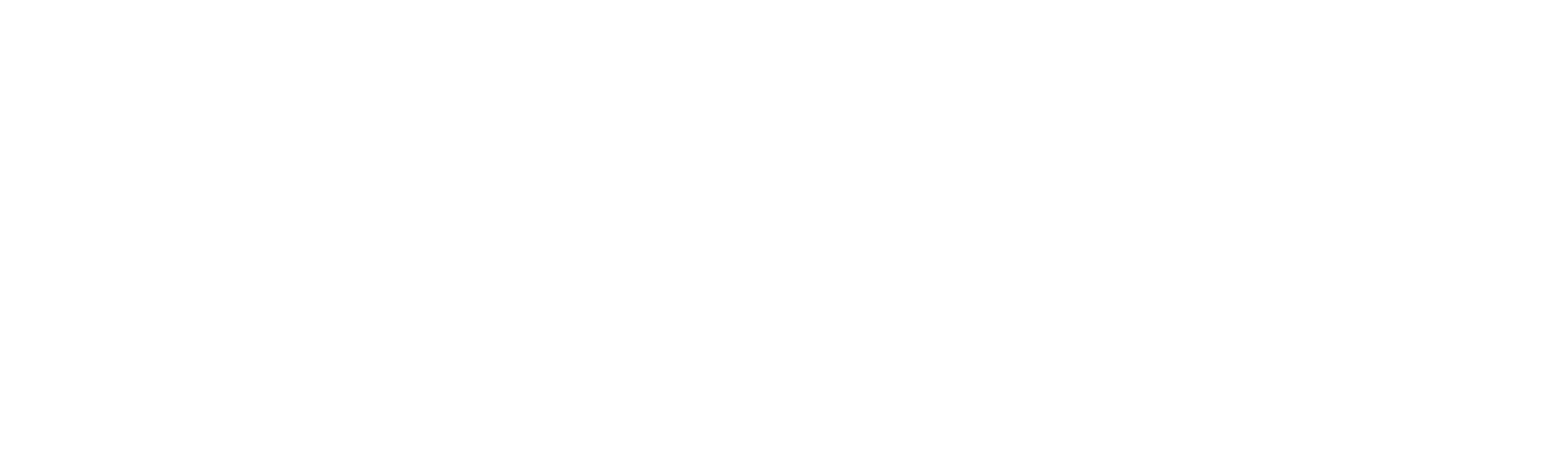 O Espírito da Salsa