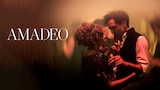 Amadeo