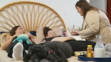 Twinkle, Twinkle, Fertile Star